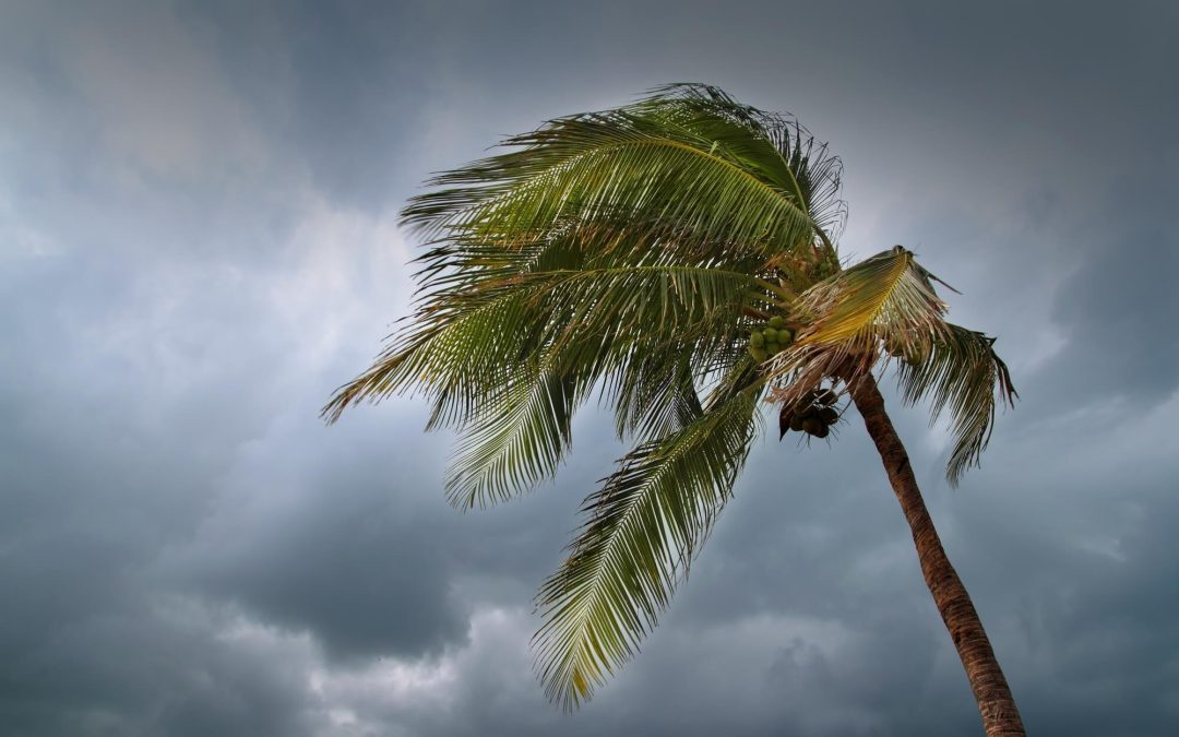 prepare a home for hurricane season