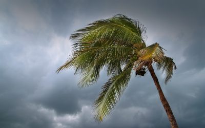6 Tips to Prepare a Home for Hurricane Season