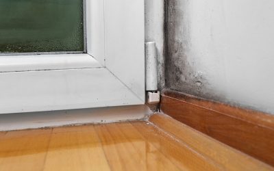 5 Signs of Mold Growth in a Home